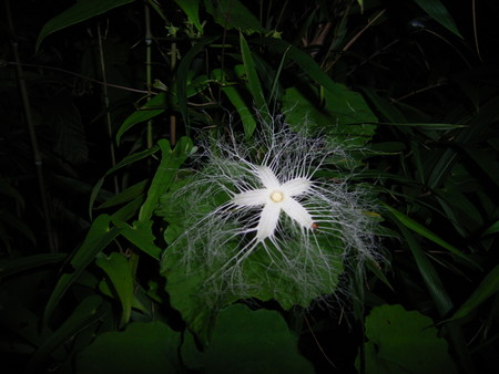 f:id:akategani:20050807204535j:image