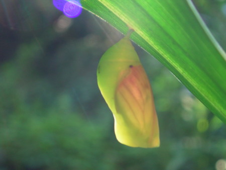 f:id:akategani:20060910135800j:image