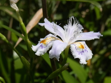 f:id:akategani:20100425110613j:image