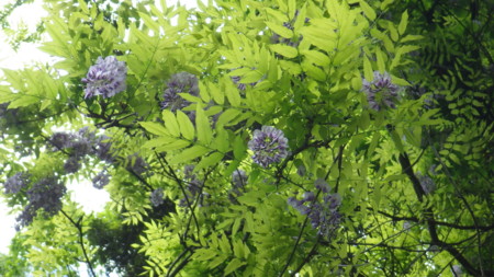 f:id:akategani:20160429153124j:image