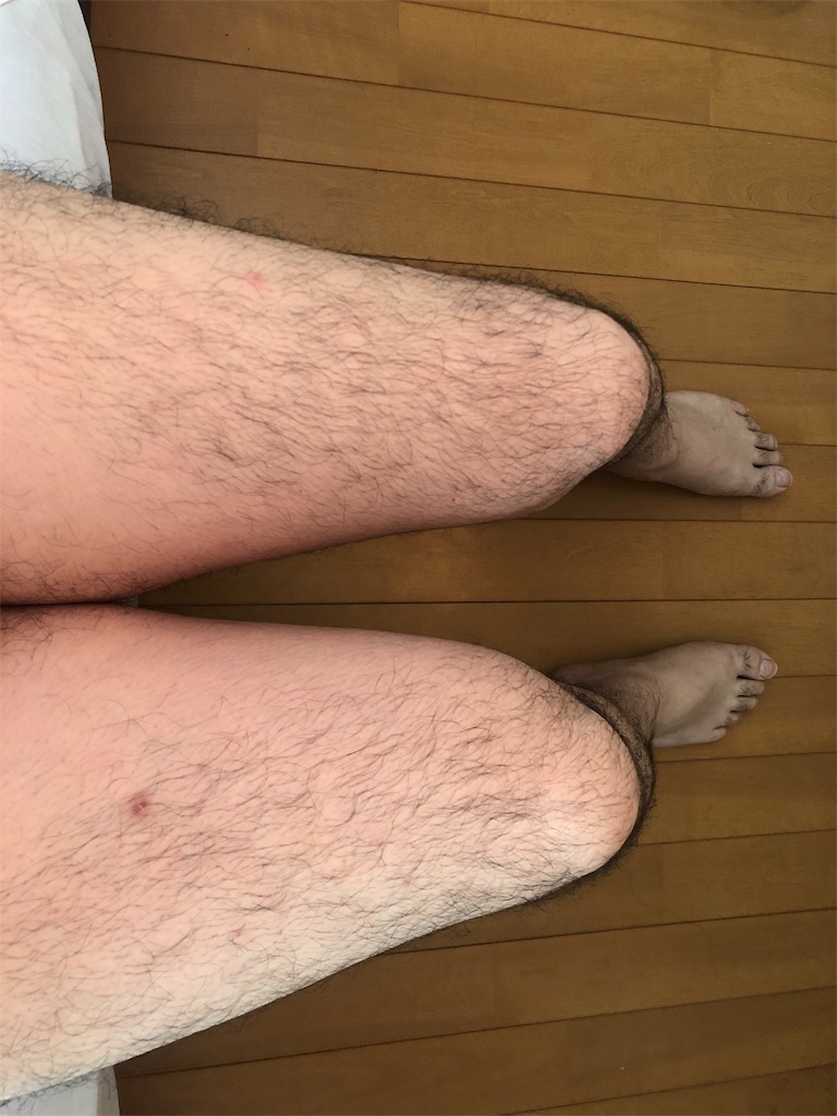 f:id:akatetsu_0114:20191023142752j:image