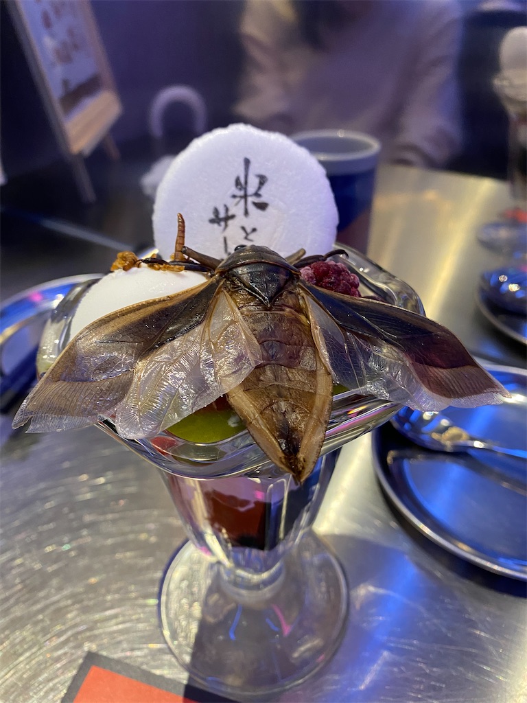 f:id:akato9699:20210314231819j:image