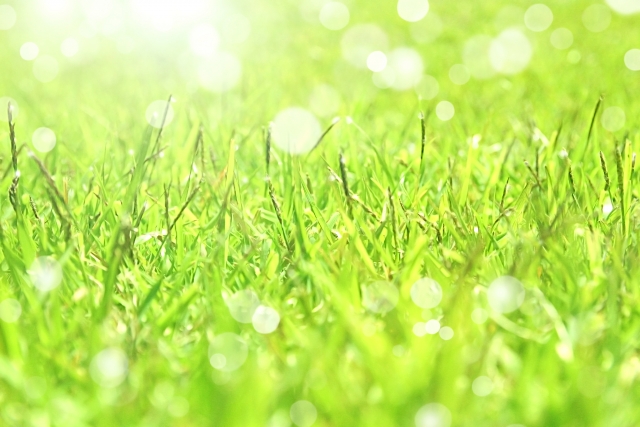 f:id:akatra164:20180223020437j:plain