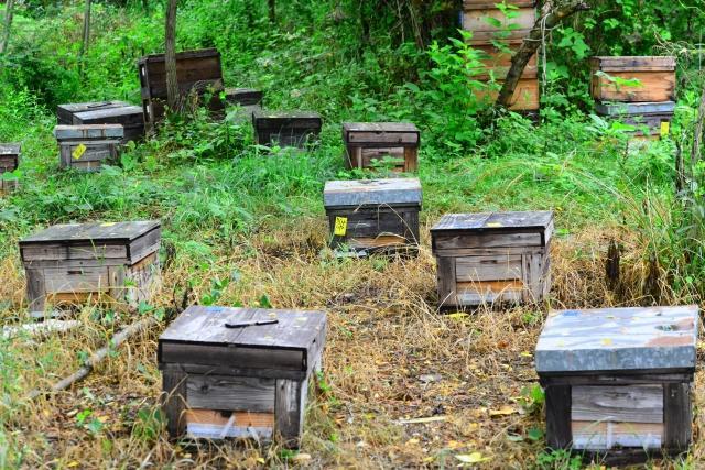 f:id:akatra164:20200606140207j:plain f:id:akatra164:20200606140207j:plain