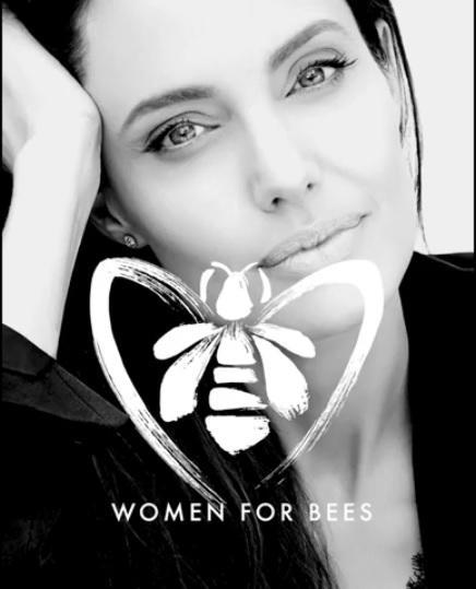 f:id:akatra164:20210612124256j:plain