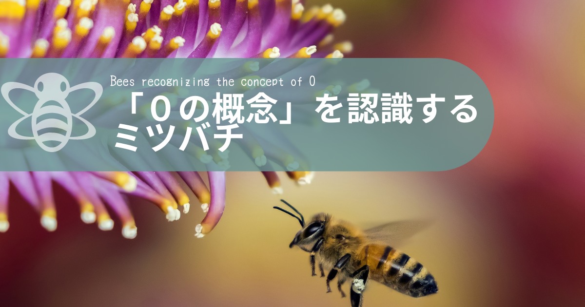 ゼロの概念」を理解するミツバチは、やっぱり賢い - コーヒーと