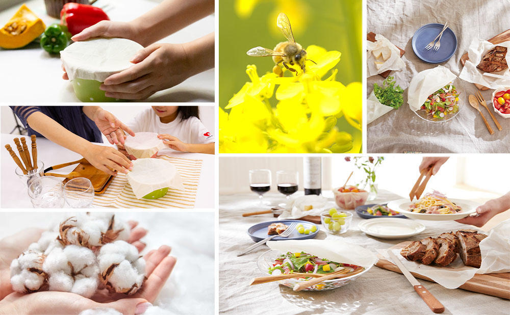 f:id:akatra164:20211018173546j:plain