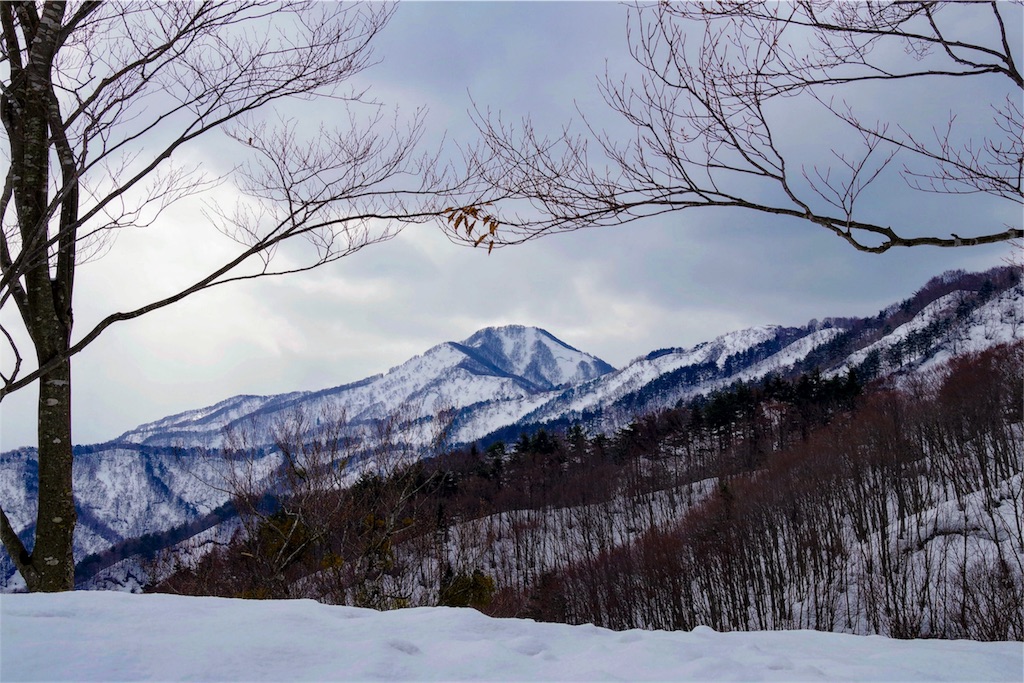 f:id:akatsukayama:20180524202515j:image f:id:akatsukayama:20180524202515j:image