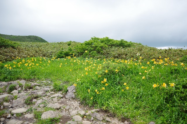 f:id:akatsukayama:20180912153328j:image f:id:akatsukayama:20180912153328j:image
