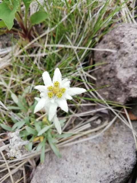 f:id:akatsukayama:20180912155837j:image f:id:akatsukayama:20180912155837j:image
