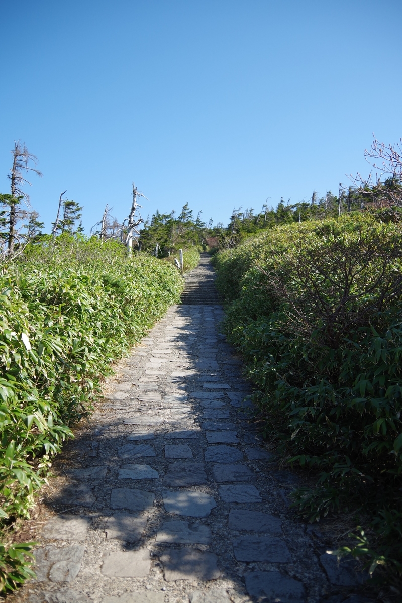 f:id:akatsukayama:20191118162939j:plain