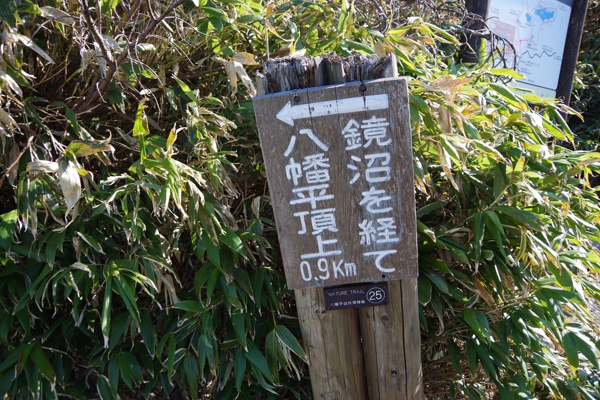 f:id:akatsukayama:20191118163902j:plain