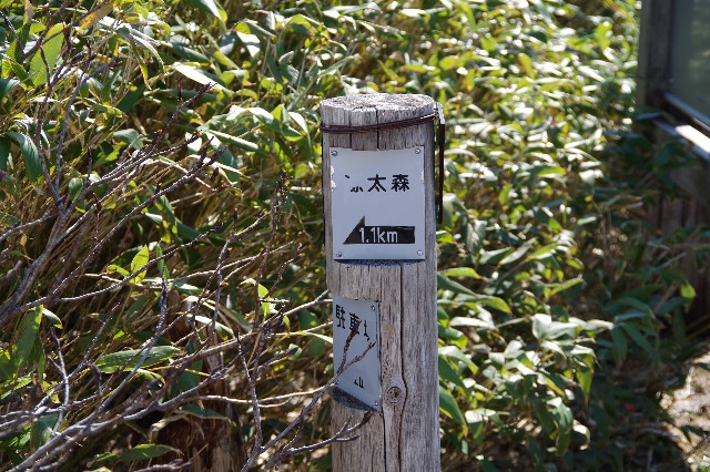 f:id:akatsukayama:20191119124113j:image