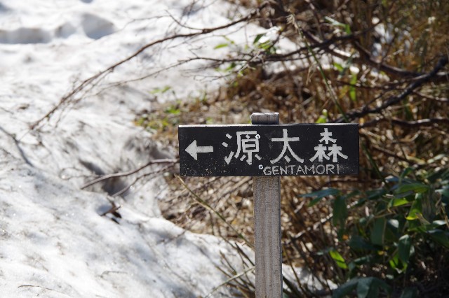 f:id:akatsukayama:20191119173648j:image