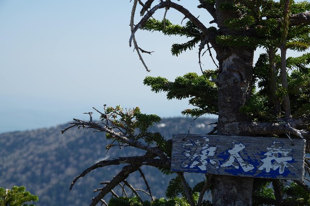 f:id:akatsukayama:20191119173738j:image