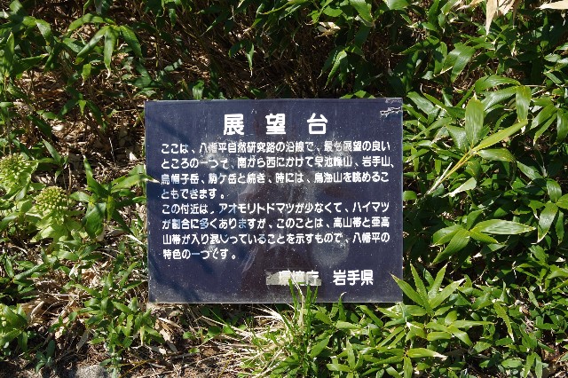 f:id:akatsukayama:20191119174854j:image