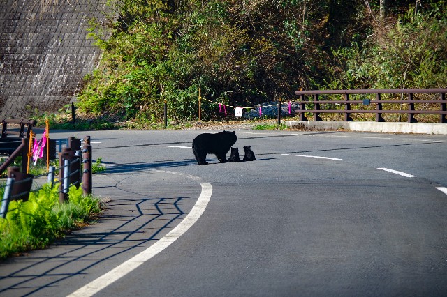 f:id:akatsukayama:20191119180542j:image