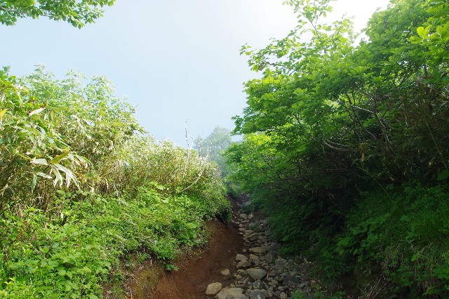 f:id:akatsukayama:20200114174202j:image