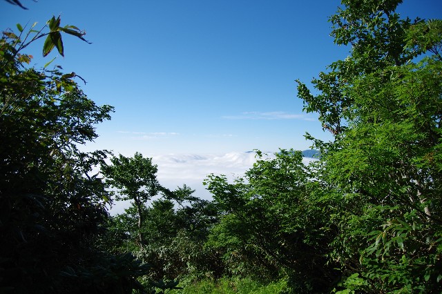 f:id:akatsukayama:20200114174302j:image