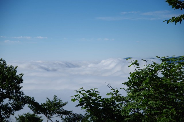 f:id:akatsukayama:20200114174359j:image