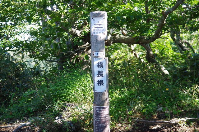 f:id:akatsukayama:20200114174434j:image
