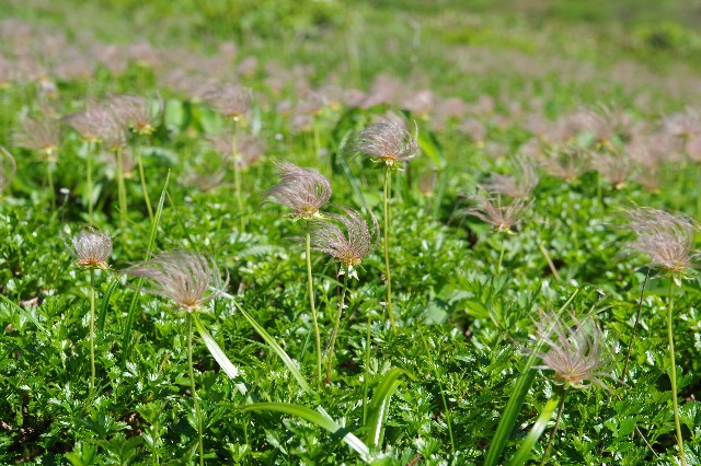 f:id:akatsukayama:20200122095153j:image