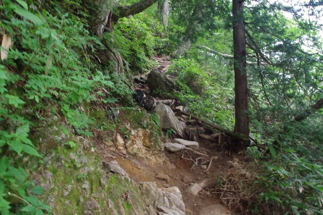 f:id:akatsukayama:20200129183745j:image
