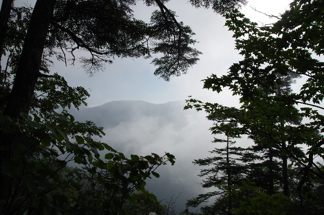 f:id:akatsukayama:20200129214903j:image