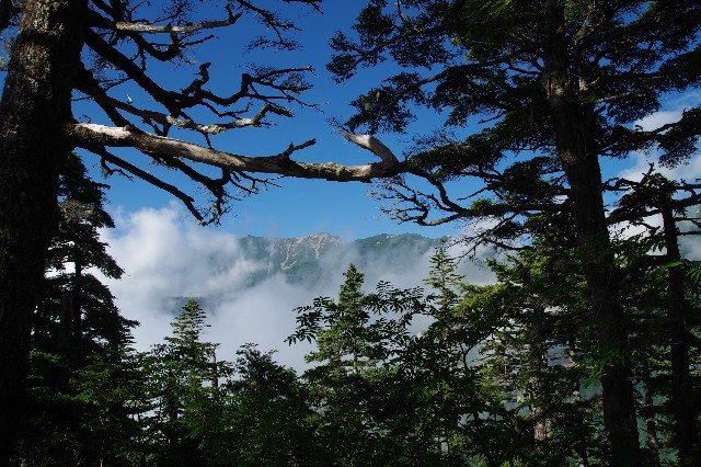 f:id:akatsukayama:20200129215042j:image