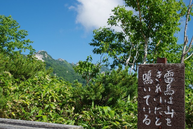f:id:akatsukayama:20200130125440j:image