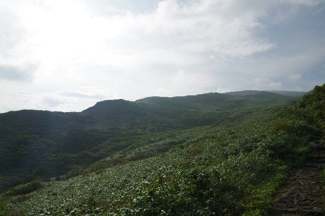 f:id:akatsukayama:20200304094449j:image