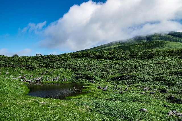 f:id:akatsukayama:20200312002620j:image