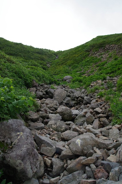 f:id:akatsukayama:20200312150522j:image