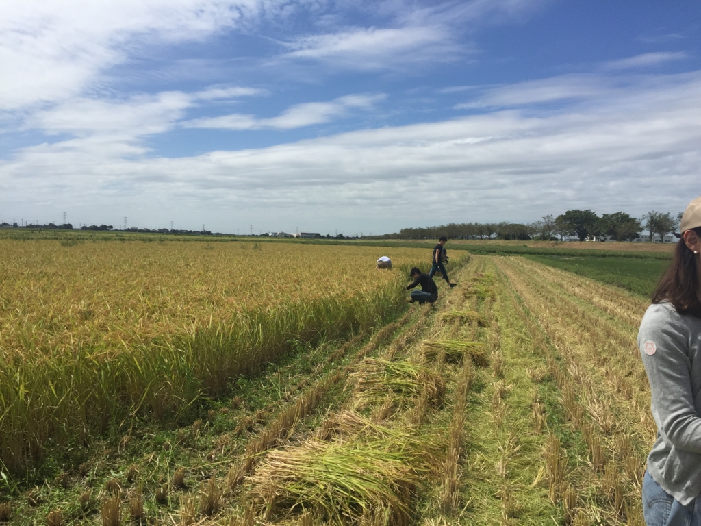 f:id:akatsuki174:20160905231243j:plain:w300 f:id:akatsuki174:20160905231243j:plain:w300