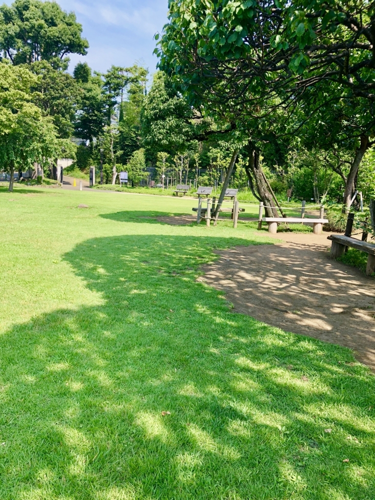 f:id:akatsuki174:20180716182100j:plain:w270