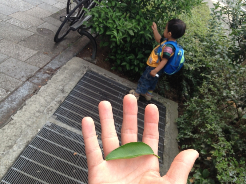 f:id:akatsuki_jp:20160712222012j:plain