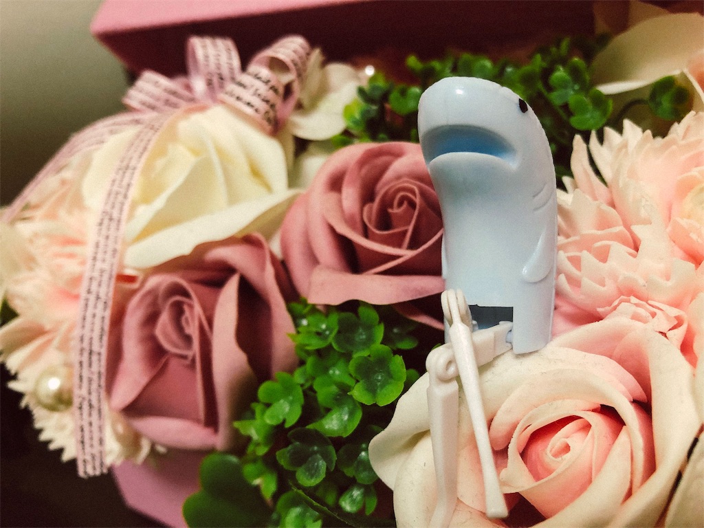 f:id:akatukiblog27:20181029004305j:image f:id:akatukiblog27:20181029004305j:image