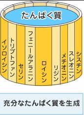 f:id:akatyan-mezamashi:20160930134449j:plain f:id:akatyan-mezamashi:20160930134449j:plain