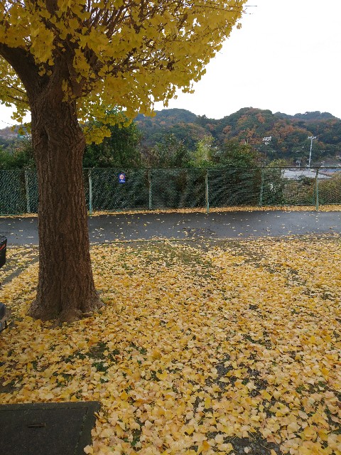 f:id:akayamaqueen:20201221005834j:plain
