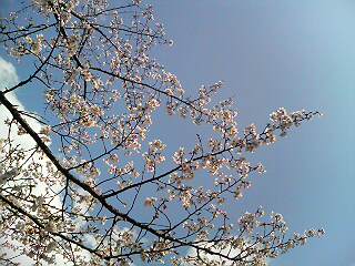 f:id:akazaru09:20100403144020j:image f:id:akazaru09:20100403144020j:image