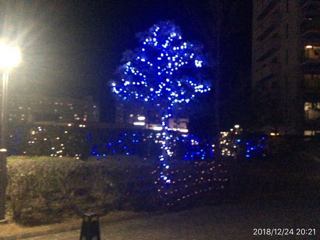 イルミネーション