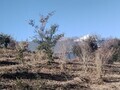 [風景]風景🌞