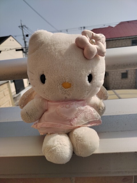 キティ猫🐱