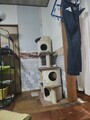 [DIY][壁紙]DIY壁紙 完成