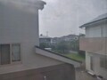 [朝][曇り]朝🌄くもり☁曇り
