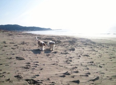 f:id:akbb1109:20110220221620j:image