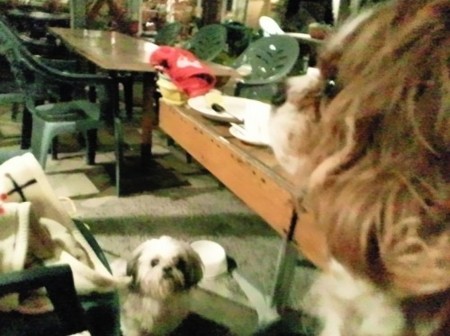 f:id:akbb1109:20110220221627j:image