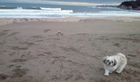 f:id:akbb1109:20110220221628j:image