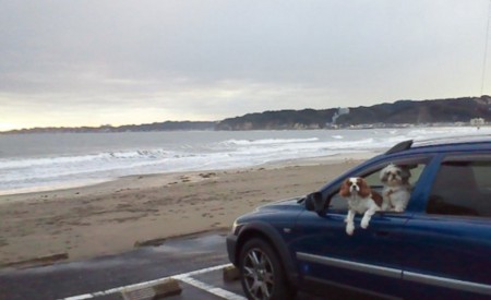 f:id:akbb1109:20110220221633j:image