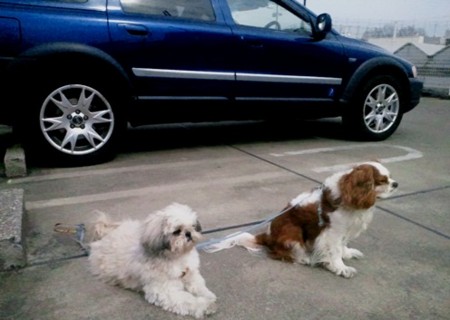 f:id:akbb1109:20110320215227j:image